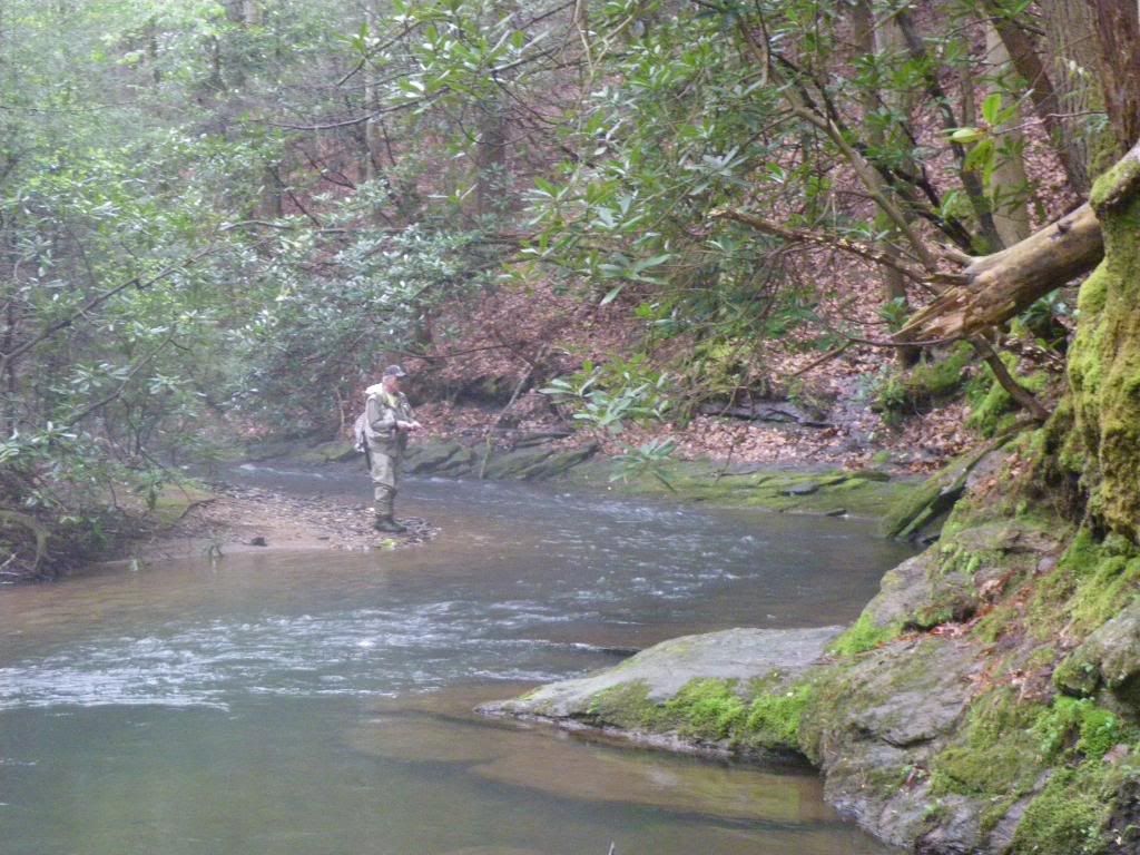 smith creek ga fly fishing smith creek ga fly fishing